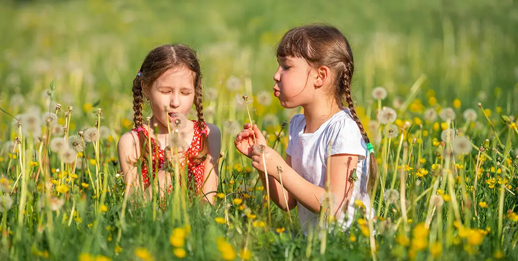 Kinder spielen auf einer blühenden Wiese – der Hygienehyothese nach, kann sich ihr Immunsystem an Allergene gewöhnen Die Hygienehypothese vermutet, dass Allergien schwächer ausfallen oder ausbleiben, wenn das Immunsystem bereits in jungen Jahren „trainiert“ wird