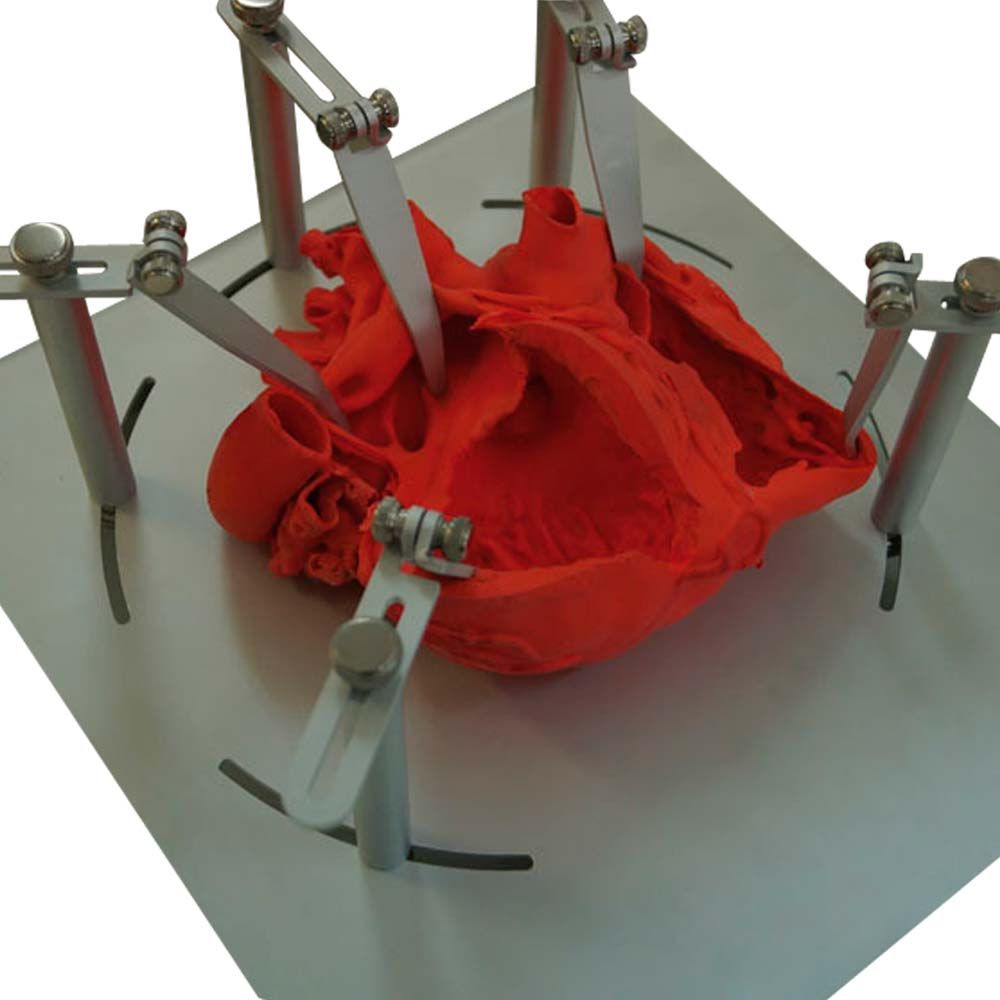 Erler Zimmer Modell - Herz Dicom komplex, rot