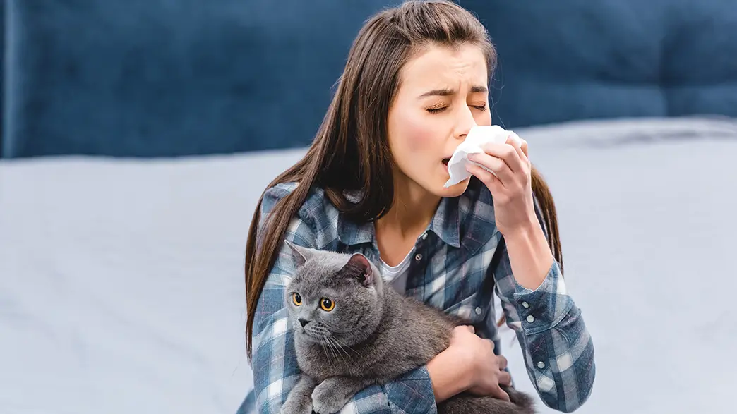Eine junge Frau niest, während sie mit ihrer Katze auf dem Schoß auf einer Couch sitzt