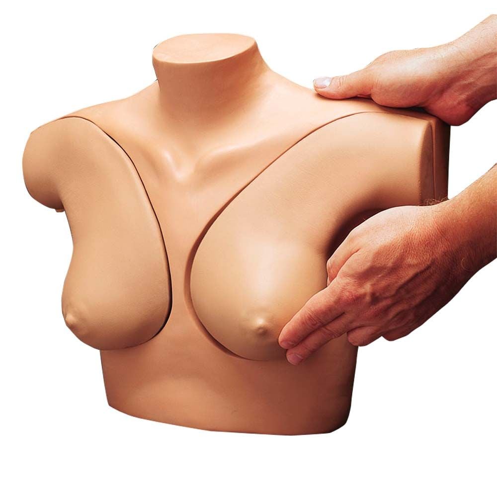 Erler Zimmer - Brustuntersuchung Übungsmodell mit 9 Knoten