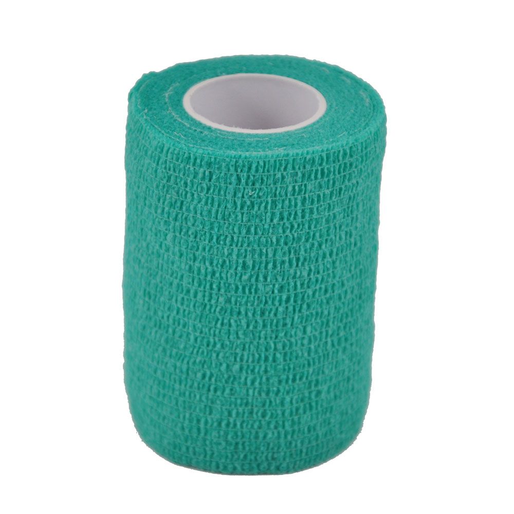 Holthaus Bandage Vlivet, selbsthaftend, 7,5cm grün 24St