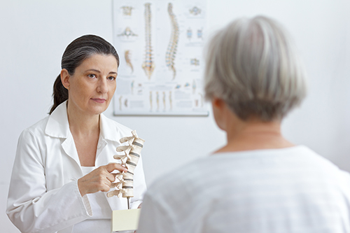 Wirbelsäulenmodelle zur Patientenaufklärung Wirbelsäulenmodelle zur Patientenaufklärung