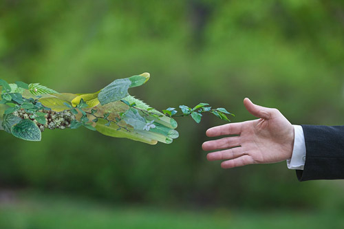 Papierhandtücher für die Umwelt