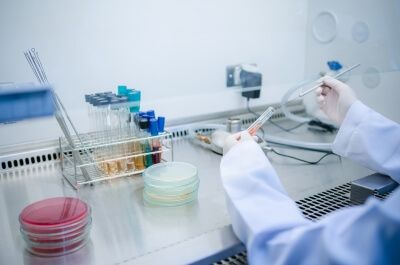 Laborauswertung von medizinischen Schnelltests Arzt verwendet Labor Tests für die Untersuchung auf Bakterien oder Viren im Labor