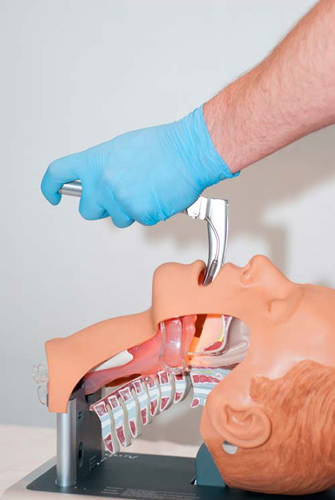 Intubation eines Trainigsmodells mittels Laryngoskop